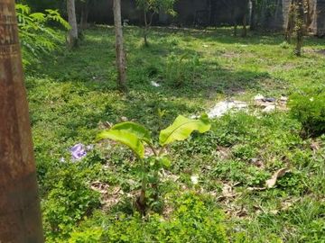 Tanah pekarangan cukup luas di kawasan premium Condongcatur