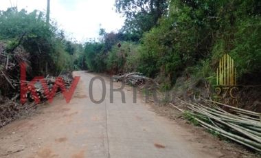 Agricultural Lot in Orion, Bataan