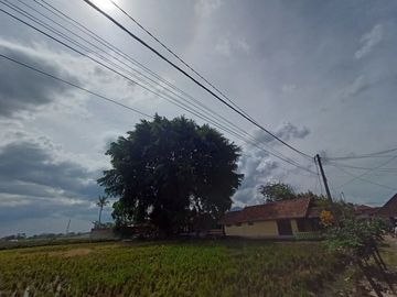 Kavling Tanah 100 Jutaan Dekat Jl Dangdeur Angsuran 12 Kali