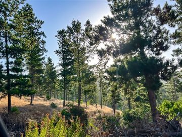 Sitio en Venta en Loteo Alto Boyeruca