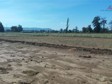 Industrial en Venta en Ruta 5 sur  cruce Morza