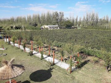Cabañas En Mendoza - Salto De Las Rosas