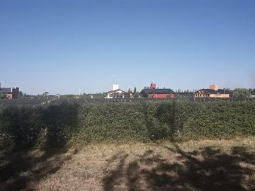 Cabañas En Mendoza - Salto De Las Rosas