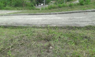 Ready for Building 186 Sqm Lot for Sale near Talamban Cebu City