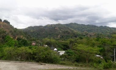Ready for Building 186 Sqm Lot for Sale near Talamban Cebu City
