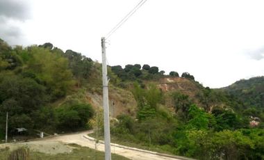 Ready for Building 186 Sqm Lot for Sale near Talamban Cebu City