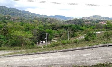 Ready for Building 186 Sqm Lot for Sale near Talamban Cebu City