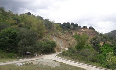 Ready for Building 186 Sqm Lot for Sale near Talamban Cebu City