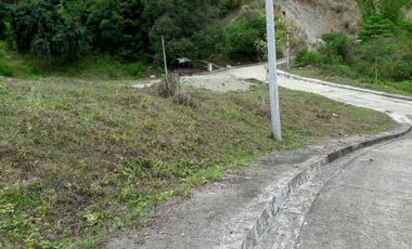 Ready for Building 186 Sqm Lot for Sale near Talamban Cebu City