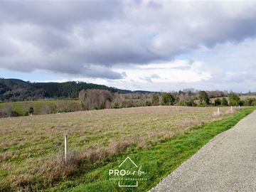 Terreno Construccion  en Venta en Venta Parcelas en Condominio Lomas del Trebol, acceso Ruta 5S, 5.000 m2, Paillaco, Valdivia