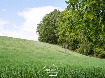 Terreno Construccion  en Venta en Venta Parcelas en Condominio Lomas del Trebol, acceso Ruta 5S, 5.000 m2, Paillaco, Valdivia