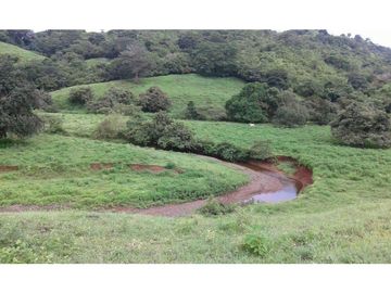 VENTA TERRENO TONOSI