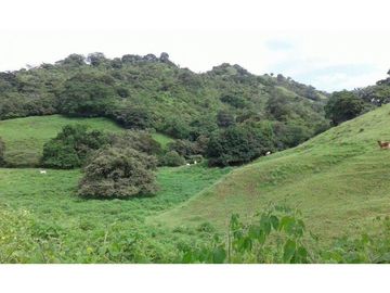 VENTA TERRENO TONOSI