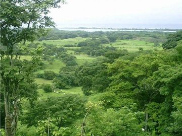 VENTA TERRENO TONOSI