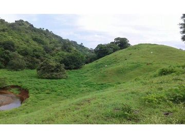 VENTA TERRENO TONOSI