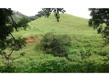 VENTA TERRENO TONOSI