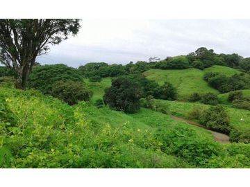 VENTA TERRENO TONOSI