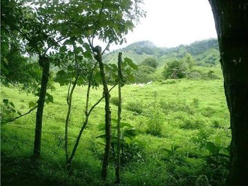 VENTA TERRENO TONOSI