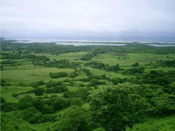 VENTA TERRENO TONOSI