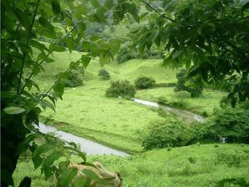 VENTA TERRENO TONOSI