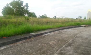 Affordable 150 Sqm Lot for Sale in Bulacao, Talisay Cebu
