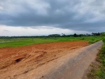 Tanah Magelang Area Blondo SHM 1 Jutaan Luas 180 m2