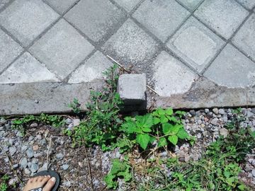 Tanah Area Jl Solo,Tanah Murah,istimewa Siap AJB Depan SMA Kalasan