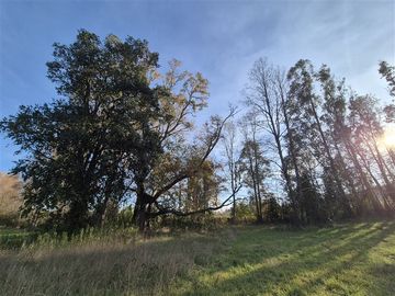 Sitio en venta en Villarrica