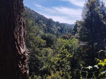 OPORTUNIDAD DE PROPIEDAD EN MINERAL DEL CHICO $1509 el m2 CASA, CABAÑA Y HERMOSOS JARDINES
