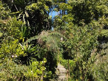 OPORTUNIDAD DE PROPIEDAD EN MINERAL DEL CHICO $1509 el m2 CASA, CABAÑA Y HERMOSOS JARDINES