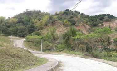 237 Sqm Corner Lot for Sale in Pulangbato Cebu City near Talamban