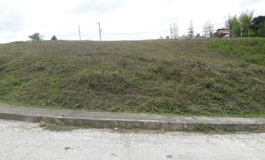 237 Sqm Corner Lot for Sale in Pulangbato Cebu City near Talamban