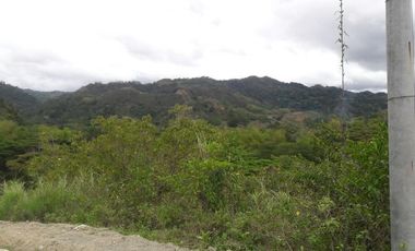 237 Sqm Corner Lot for Sale in Pulangbato Cebu City near Talamban