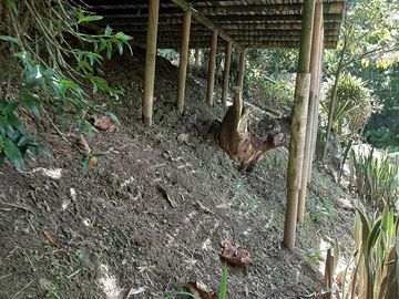 TE VENDO FINCA CON 3 CASAS EN BARBOSA ANTIOQUIA.