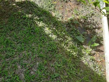 TE VENDO FINCA CON 3 CASAS EN BARBOSA ANTIOQUIA.