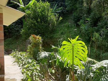 TE VENDO FINCA CON 3 CASAS EN BARBOSA ANTIOQUIA.