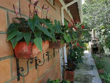 TE VENDO FINCA CON 3 CASAS EN BARBOSA ANTIOQUIA.