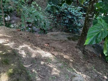 TE VENDO FINCA CON 3 CASAS EN BARBOSA ANTIOQUIA.