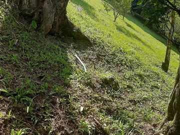 TE VENDO FINCA CON 3 CASAS EN BARBOSA ANTIOQUIA.