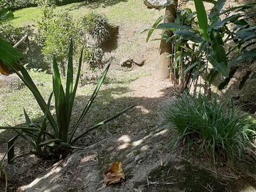 TE VENDO FINCA CON 3 CASAS EN BARBOSA ANTIOQUIA.