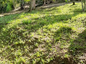 TE VENDO FINCA CON 3 CASAS EN BARBOSA ANTIOQUIA.