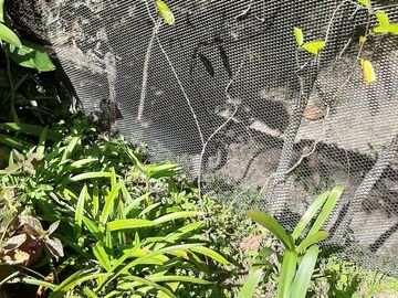 TE VENDO FINCA CON 3 CASAS EN BARBOSA ANTIOQUIA.