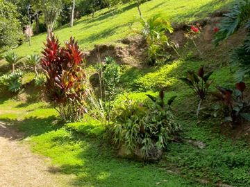 TE VENDO FINCA CON 3 CASAS EN BARBOSA ANTIOQUIA.