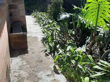 TE VENDO FINCA CON 3 CASAS EN BARBOSA ANTIOQUIA.