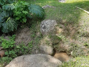 TE VENDO FINCA CON 3 CASAS EN BARBOSA ANTIOQUIA.