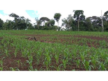 Se Vende hermoso Terreno en la Chorrera, Santa Rita