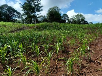 Se Vende hermoso Terreno en la Chorrera, Santa Rita