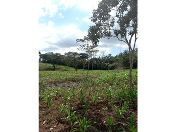 Se Vende hermoso Terreno en la Chorrera, Santa Rita