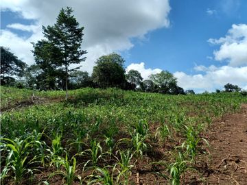 Se Vende hermoso Terreno en la Chorrera, Santa Rita