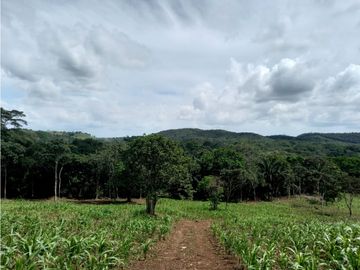 Se Vende hermoso Terreno en la Chorrera, Santa Rita